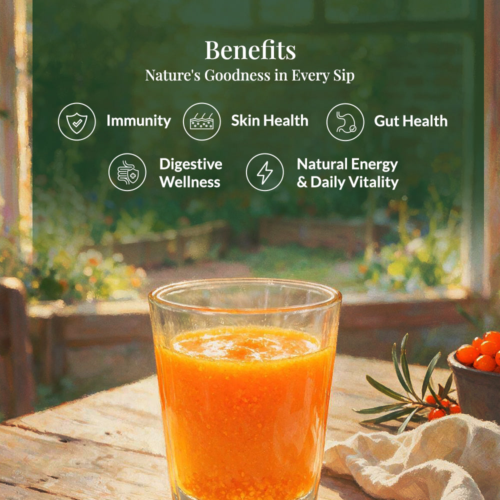 Sea Buckthorn Pulp Concentrate