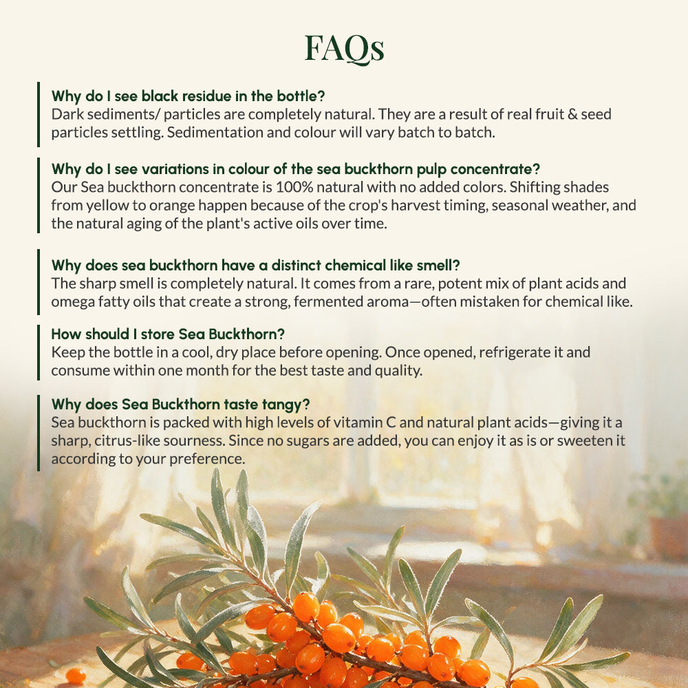Sea Buckthorn Pulp Concentrate